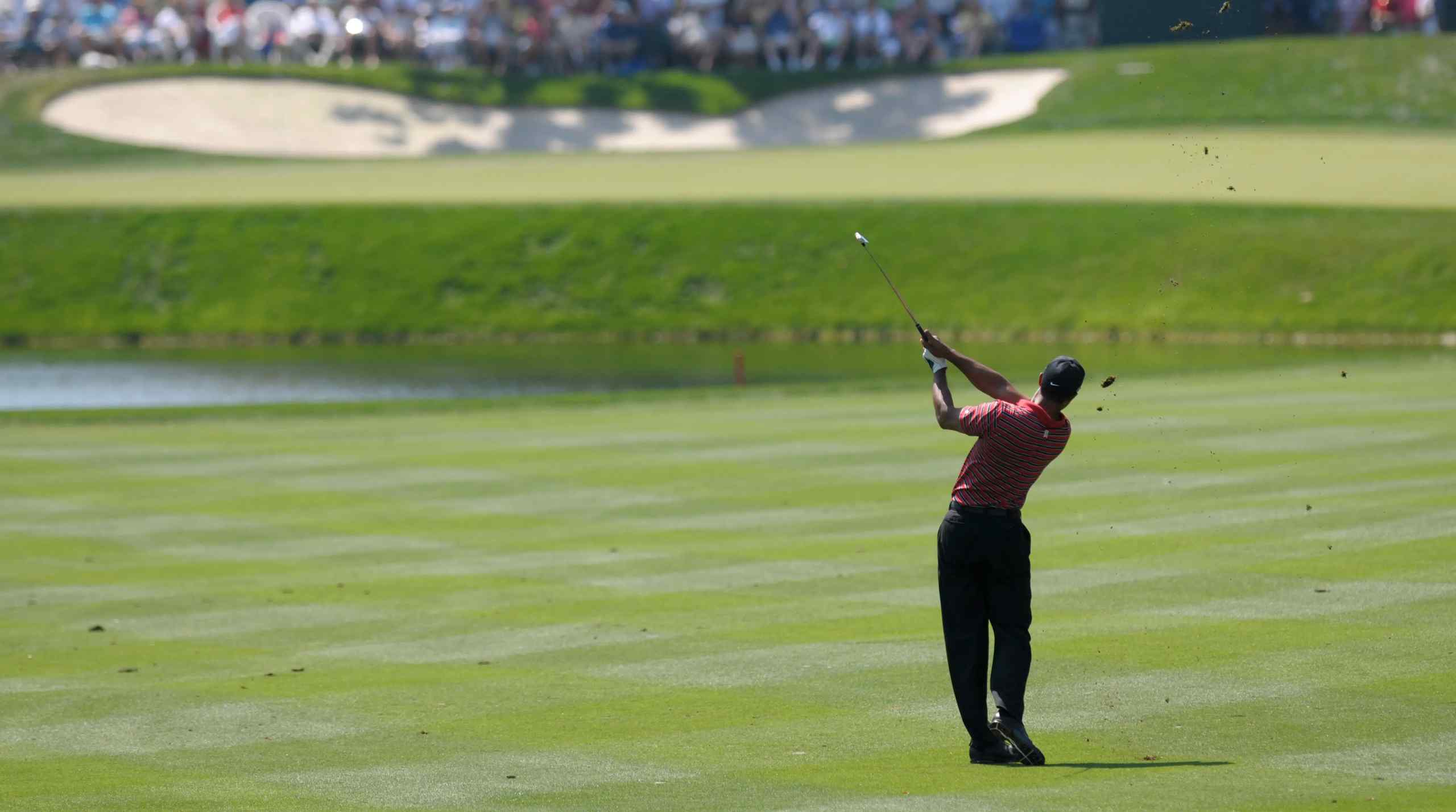 Golf's "Love to Hate" Hall of Fame
